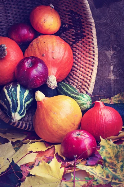 Seasonal fruits and vegetables — Stock Photo, Image