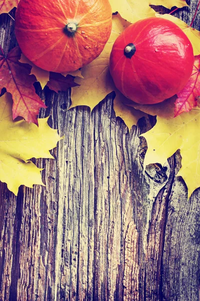 Calabazas y hojas de otoño — Foto de Stock