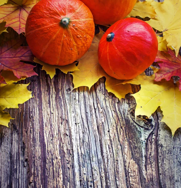 Pompoenen en herfstbladeren — Stockfoto