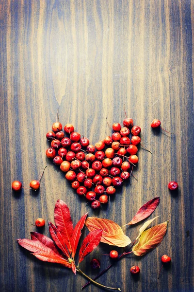 Leaves and berries as a heart — Stock Photo, Image