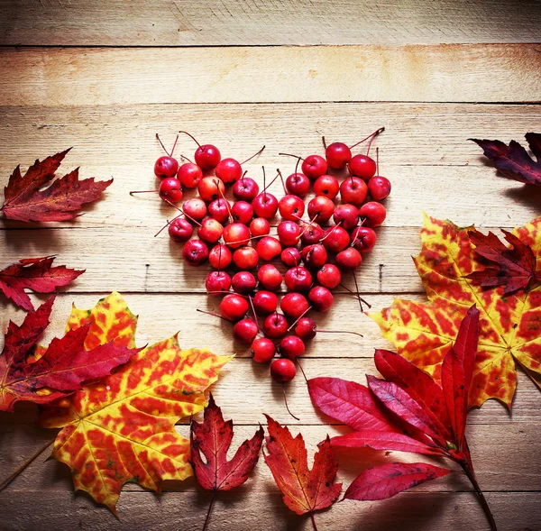 Blätter und Beeren als Herz — Stockfoto