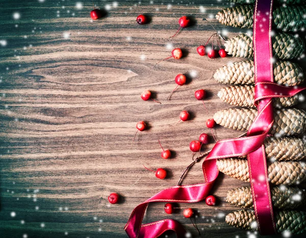 Leaves and pine cones with berries — Stock Photo, Image