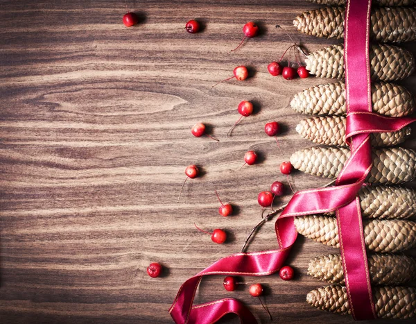 Leaves and pine cones with berries — Stock Photo, Image