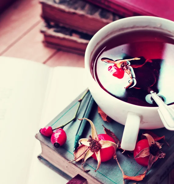 Chá de rosa mosqueta em livros antigos — Fotografia de Stock