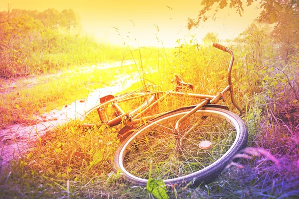 Paesaggio con Bicicletta al tramonto — Foto Stock