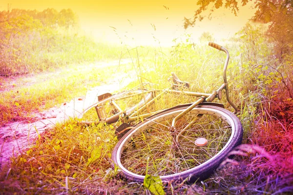 Пейзаж с велосипедом на закате — стоковое фото