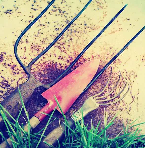 Gardening tools — Stock Photo, Image