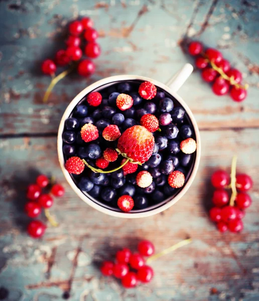 맛 있는 여름 딸기 — 스톡 사진