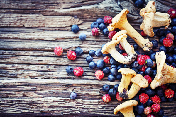Chanterelles and berries
