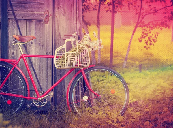 Oldtimer Fahrrad mit Blumen — Stockfoto