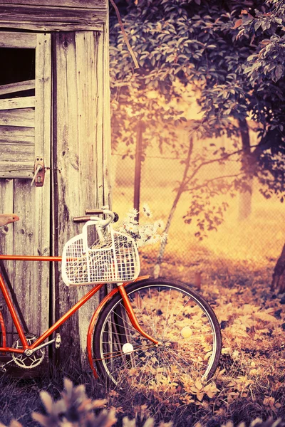 Vintage ποδήλατο με λουλούδια — Φωτογραφία Αρχείου