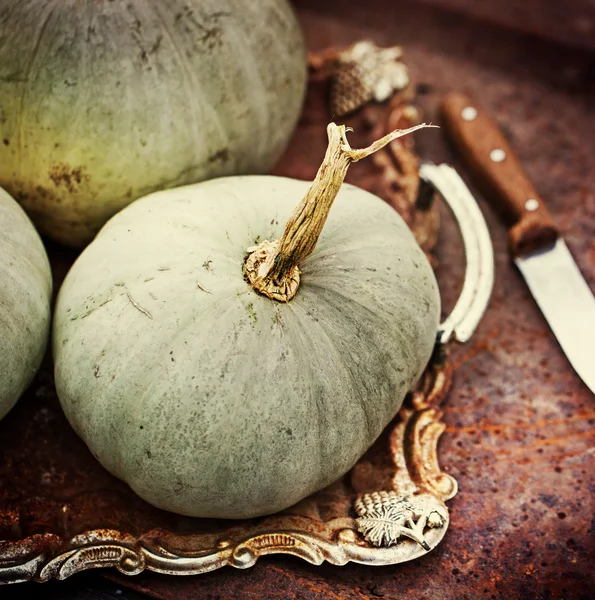 Zucche e mele d'autunno — Foto Stock