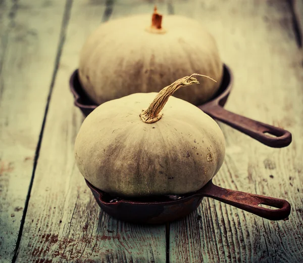 Zucche e mele d'autunno — Foto Stock