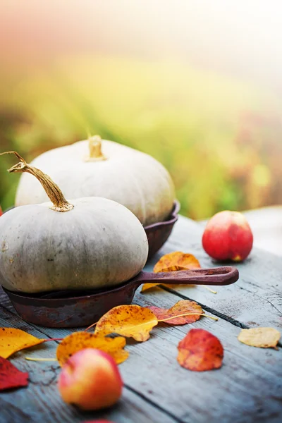 Caída de calabazas y manzanas — Foto de Stock