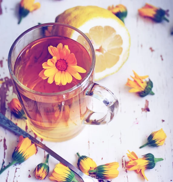 Cam bardak bitkisel çay — Stok fotoğraf