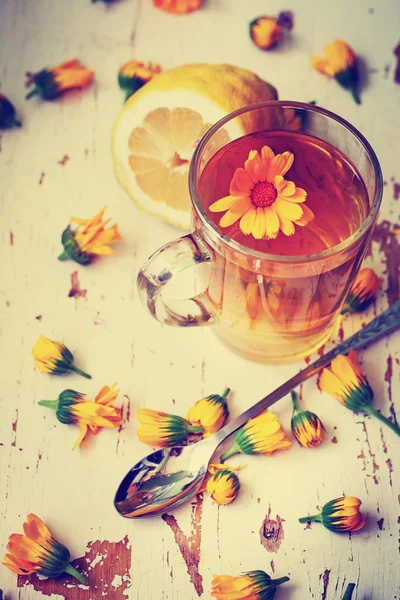 Glass cup of herbal tea — Stock Photo, Image