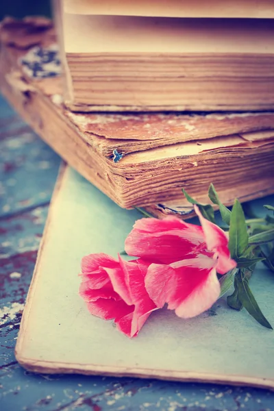 Bellissimi fiori e libro — Foto Stock