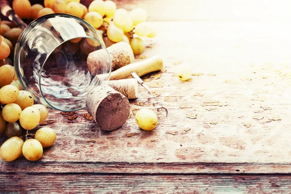 Üzüm ve mantarlar ile arka plan