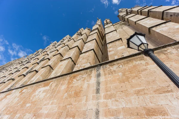 Cattedrale di Palma di Maiorca, prospettiva — Foto Stock