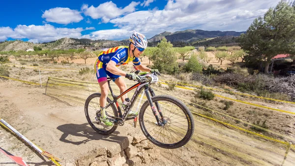 Participating in Chelva MTB XCO open — Stock Photo, Image