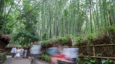 Arashiyama, Kyoto bambu ormanında bulanık turist