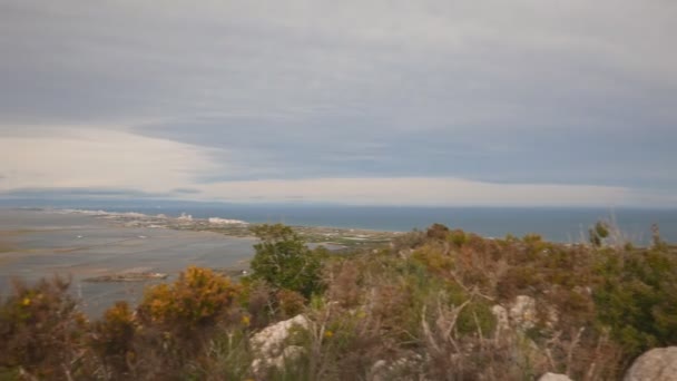 Belos campos de arroz em Albufera e Cullera, Espanha . — Vídeo de Stock