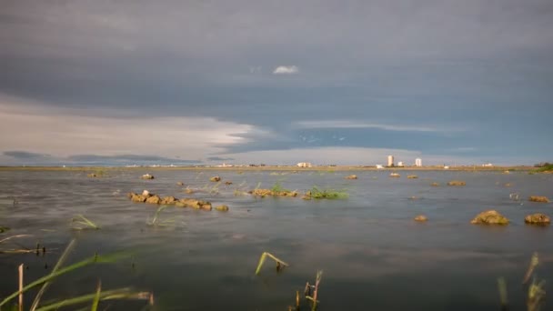 美丽的稻田水的泻湖，Valencia. — 图库视频影像