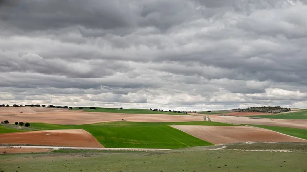 Gröna odlade fält mot molnigt stormig himmel — Stockfoto