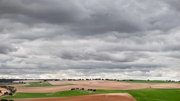 Grüne Anbauflächen gegen bewölkten, stürmischen Himmel — Stockfoto