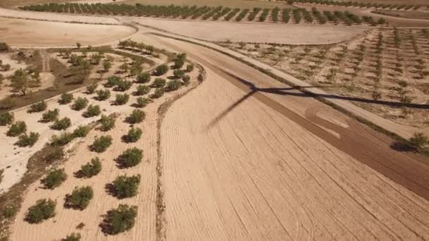 Veld vliegen over windmolen schaduw, boom — Stockvideo