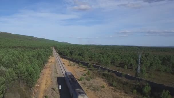 Luftaufnahme des Zuges im Land auf dem Weg nach vorn — Stockvideo