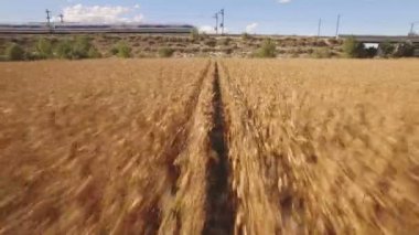 Ekili Mısır field yakınındaki hızlı tren