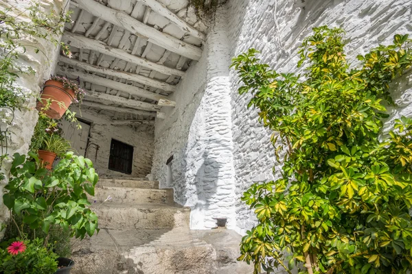 Entrée de la maison avec pots à Capileira — Photo