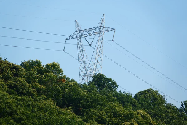 Kestane ağacı orman üzerinden elektrik Kulesi — Stok fotoğraf