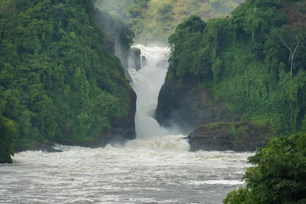 上に、ウガンダ toursits とマーチソン滝 — ストック写真