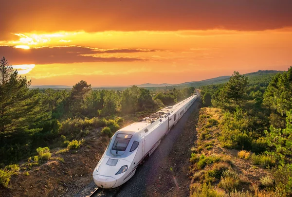 Drömmande solnedgång med höghastighetståg i skogen — Stockfoto