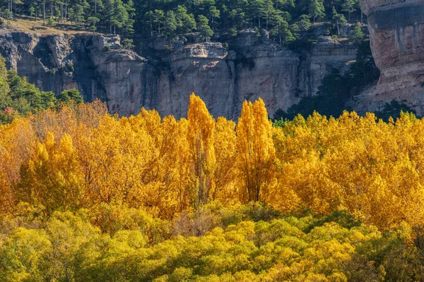秋天的色彩在地层和巨大的悬崖上 — 图库照片