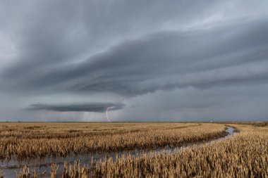 Albufera 'daki sel basmış pirinç tarlalarının üzerinde şimşek çakıyor