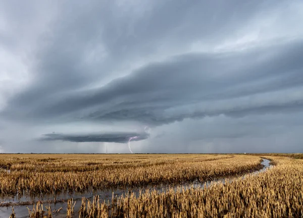Lightning over the flooded rice fields, Valencia — Stock Photo, Image