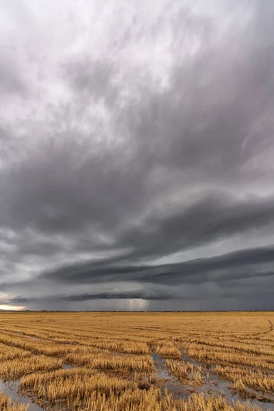 Temná bouře nad zatopenými rýžovými poli a anténou ve Valencii — Stock fotografie