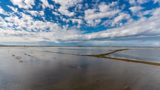 Campos de arroz inundados lapso de tempo em Albufera, Valência — Vídeo de Stock