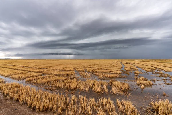 Zaplavená rýžová pole a bouře nad Albuferou ve Valencii — Stock fotografie