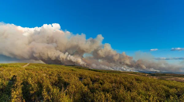 Gran fuego sobre la ladera con enormes columnas de humo —  Fotos de Stock