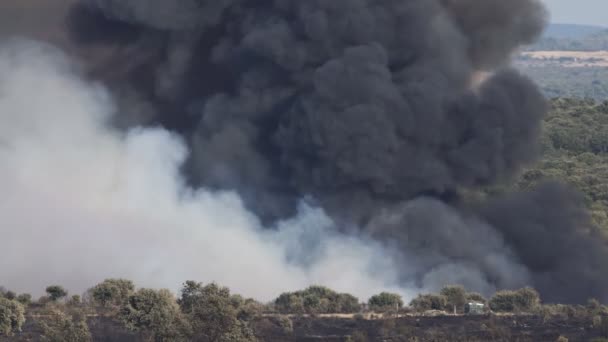巨大な煙と火 — ストック動画