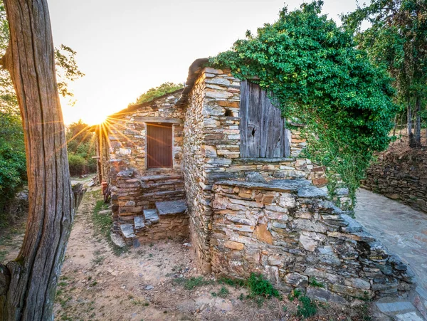 Antiek stenen huis bedekt met klimop en sunsar — Stockfoto