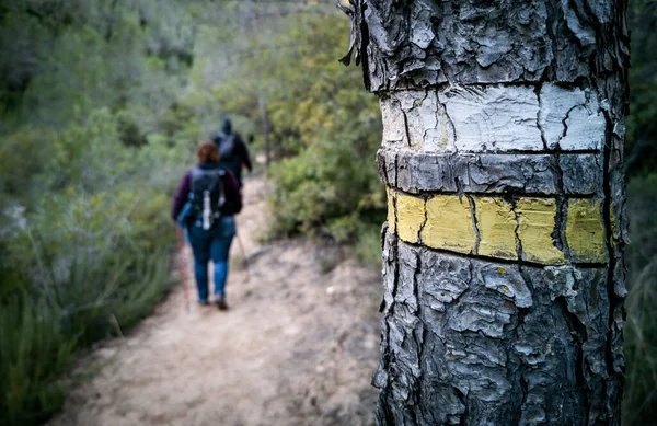 Hiking path mark over tree trunk with hikers — Stock Photo, Image