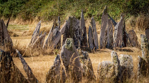 Pedras planas no limite do campo — Fotografia de Stock