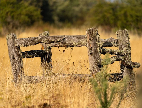 Bois construit pour chasser les chevaux et guérir les vaches — Photo