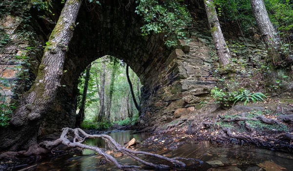 Stream and roots under antique stone bridge — Stock Photo, Image