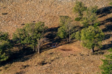 Erkek geyik su birikintisinin yanında, uzun menzilli.